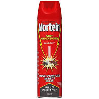 Mortein Fast KnockDown Insect Spray 300g